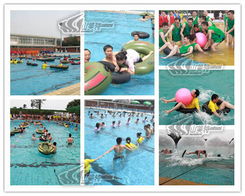 山美特 專業體驗式拓展訓練，打造卓越團隊凝聚力