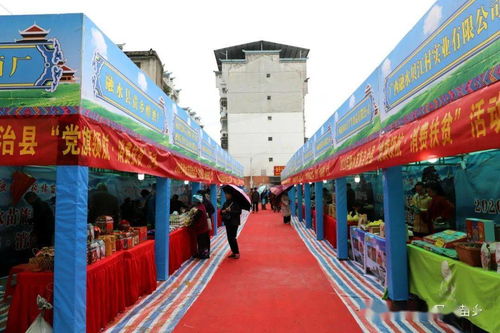 融水創(chuàng)新產(chǎn)銷(xiāo)對(duì)接與消費(fèi)扶貧，體驗(yàn)式拓展助力扶貧產(chǎn)品廣開(kāi)銷(xiāo)路